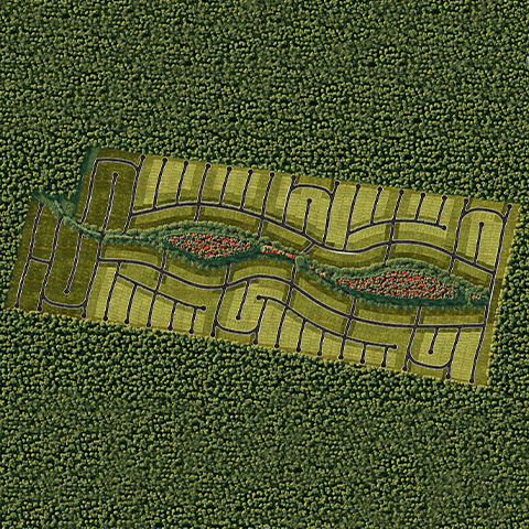 4. MP_Vitana